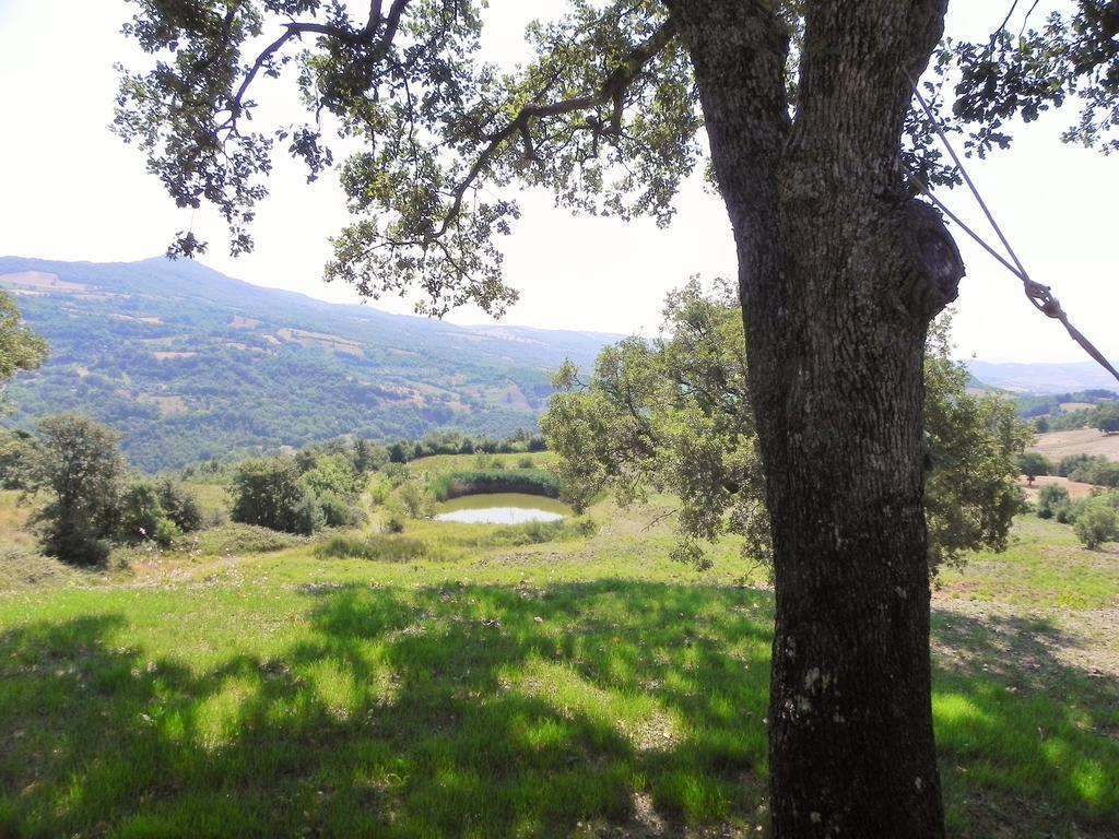 Agriturismo Sugheretello Semproniano Exteriér fotografie