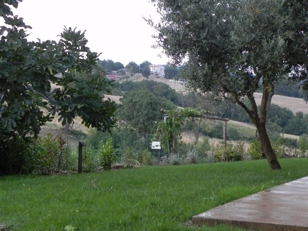 Agriturismo Sugheretello Semproniano Exteriér fotografie
