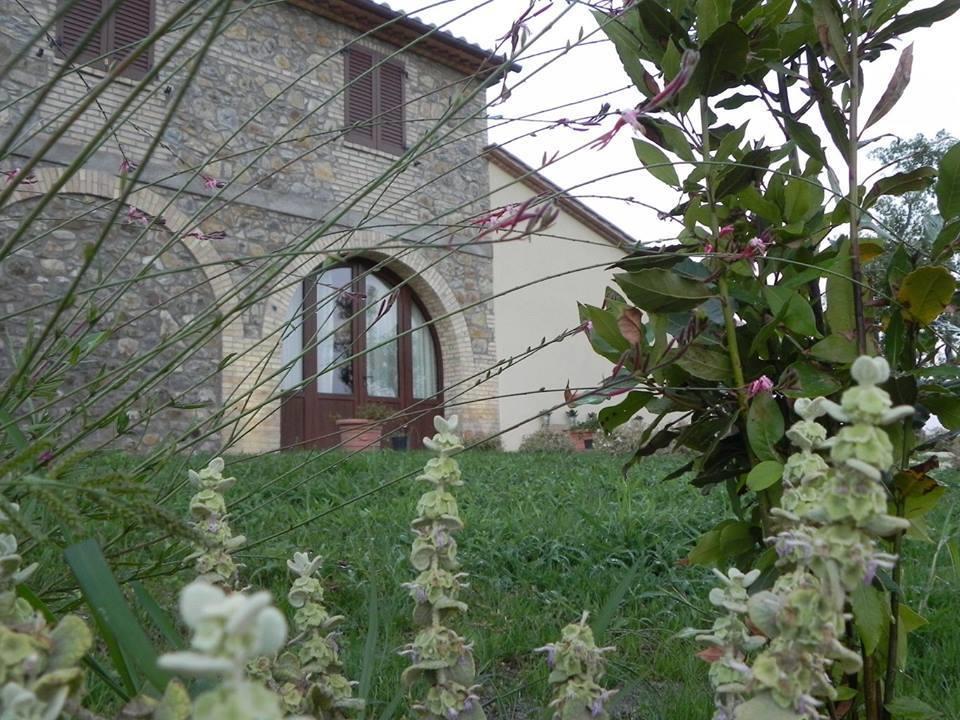 Agriturismo Sugheretello Semproniano Exteriér fotografie