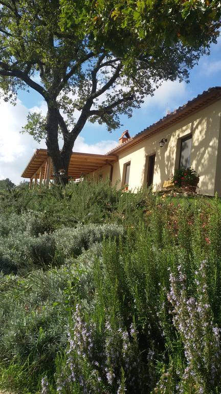 Agriturismo Sugheretello Semproniano Exteriér fotografie